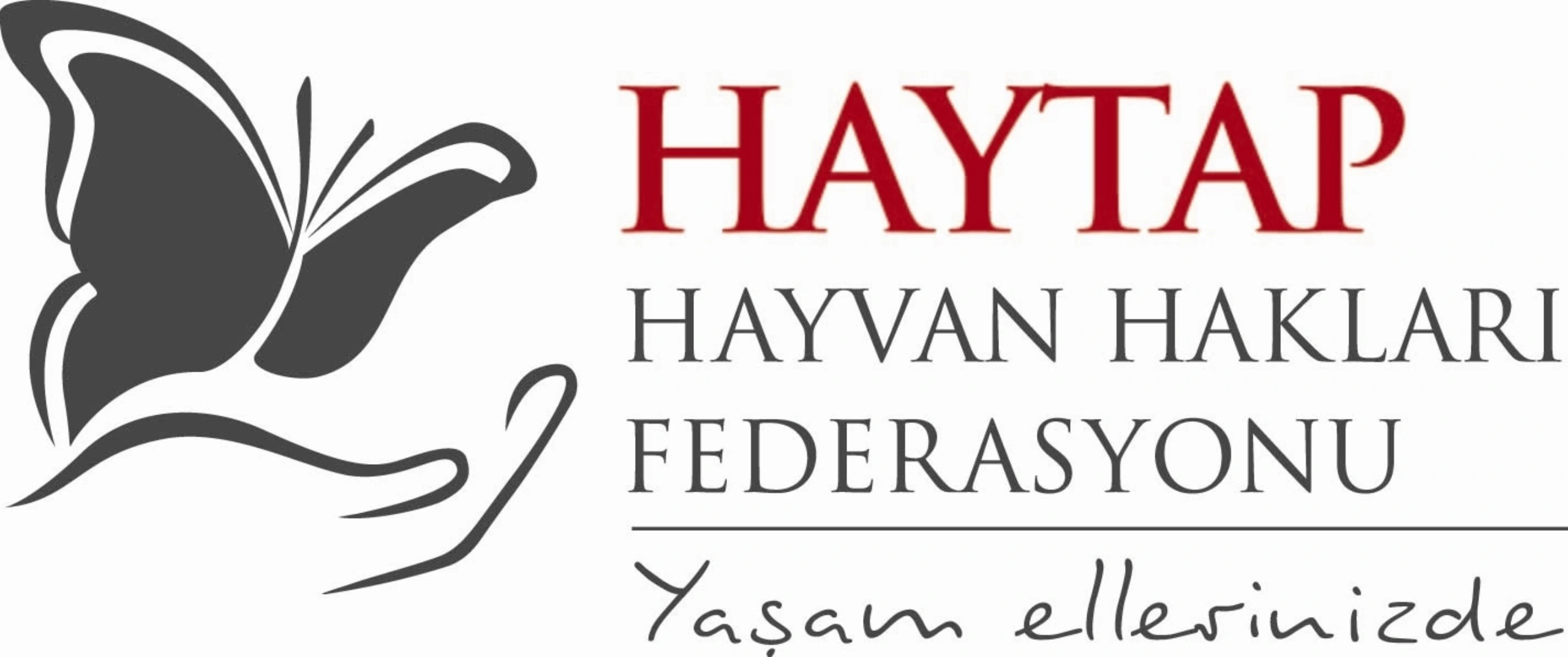 Hayvan Hakları İçin Mücadelede Eden Örgütler