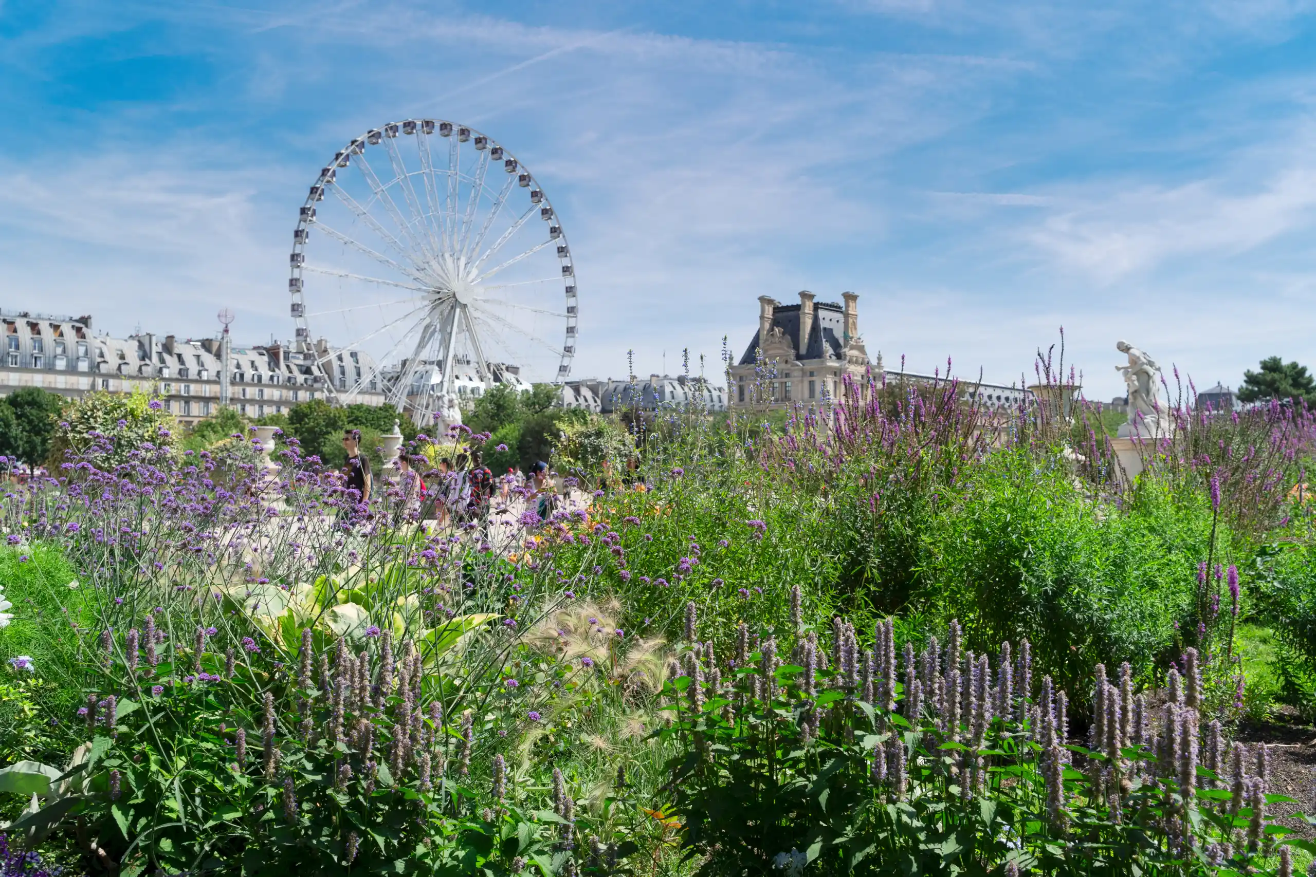 Paris'in Kalbinde Bir Vaha: Tuileries Bahçesi Hakkında Her Şey