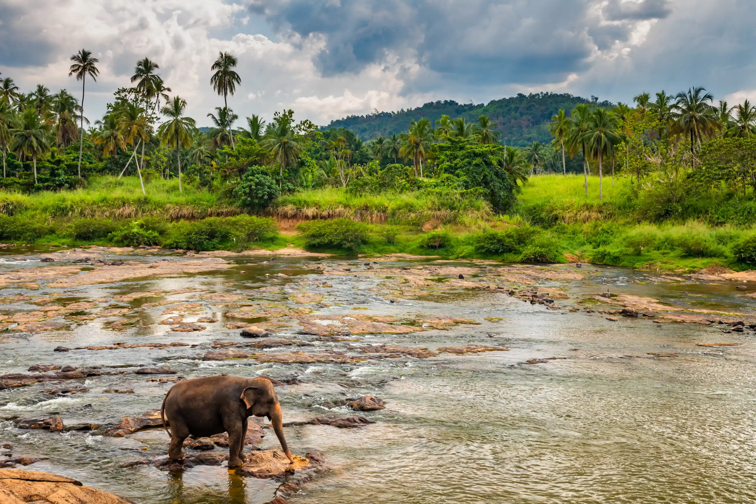 Sri Lanka Gezi Rehberi