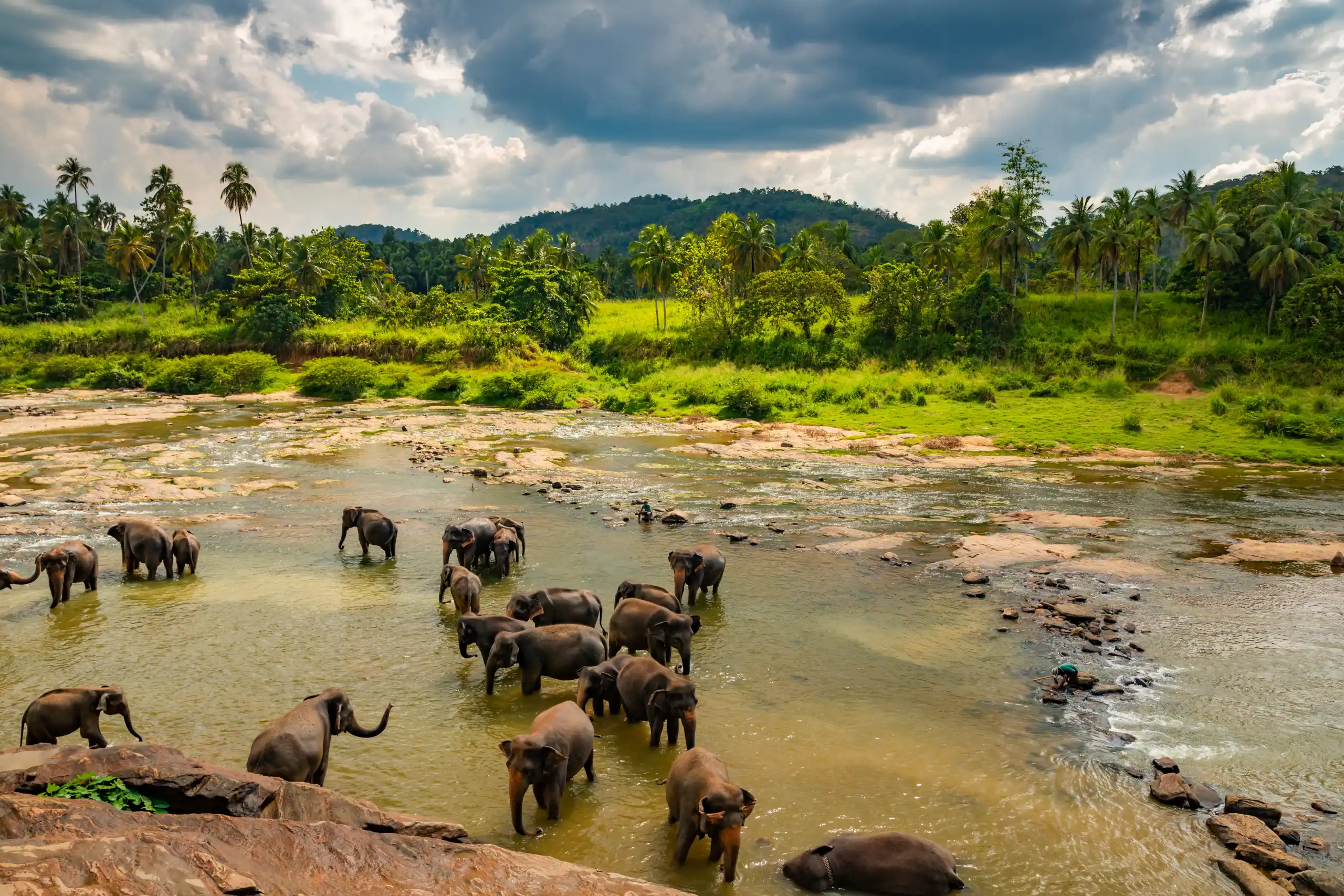 Sri Lanka Gezi Rehberi