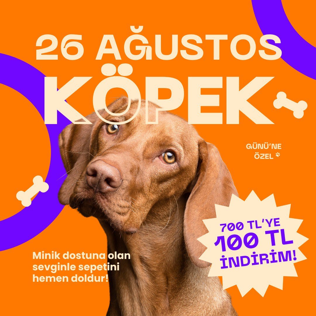 kopek-gunu.jpg