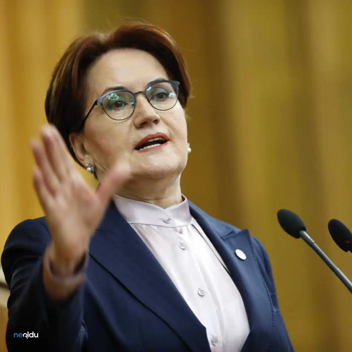 Meral Akşener Kimdir?