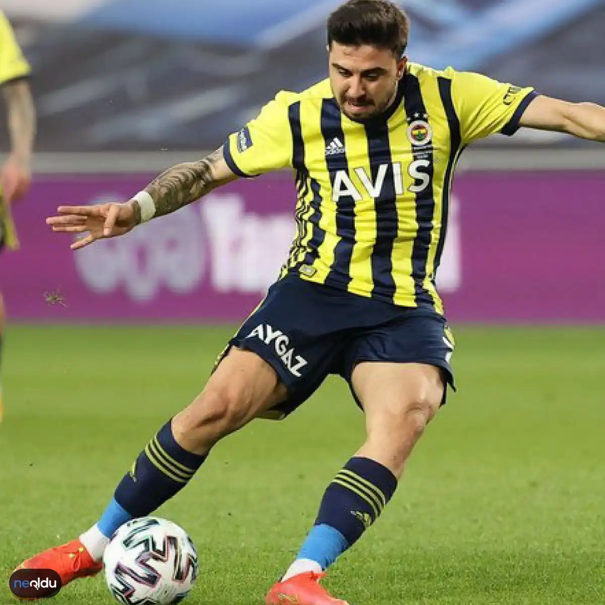 Ozan Tufan Kimdir?