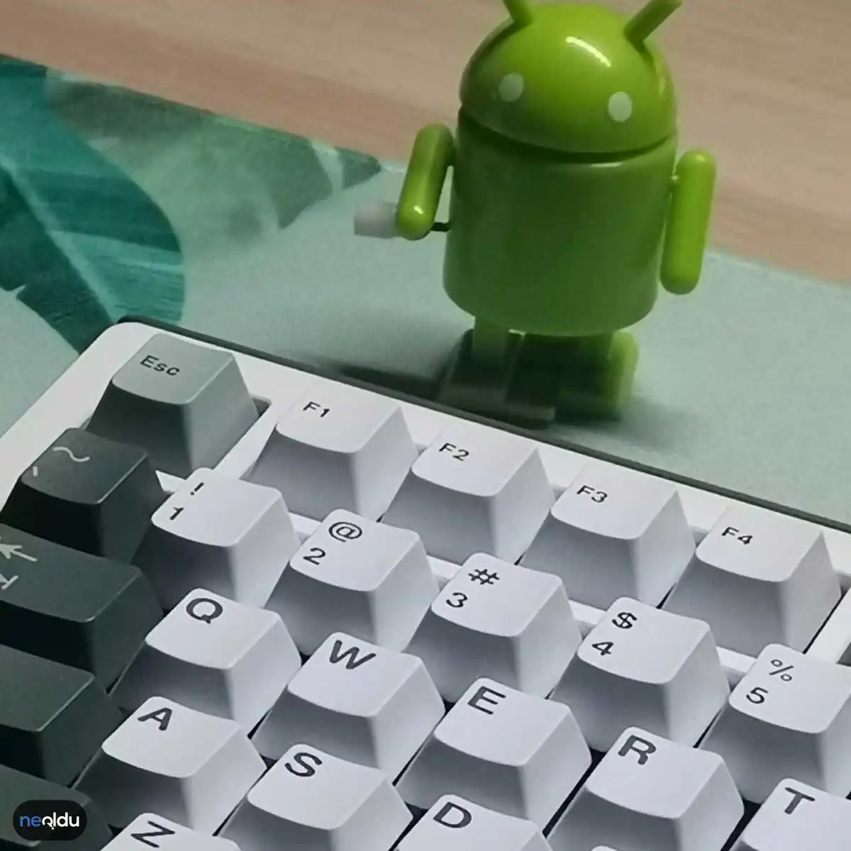 Android Hakkında Bilgiler