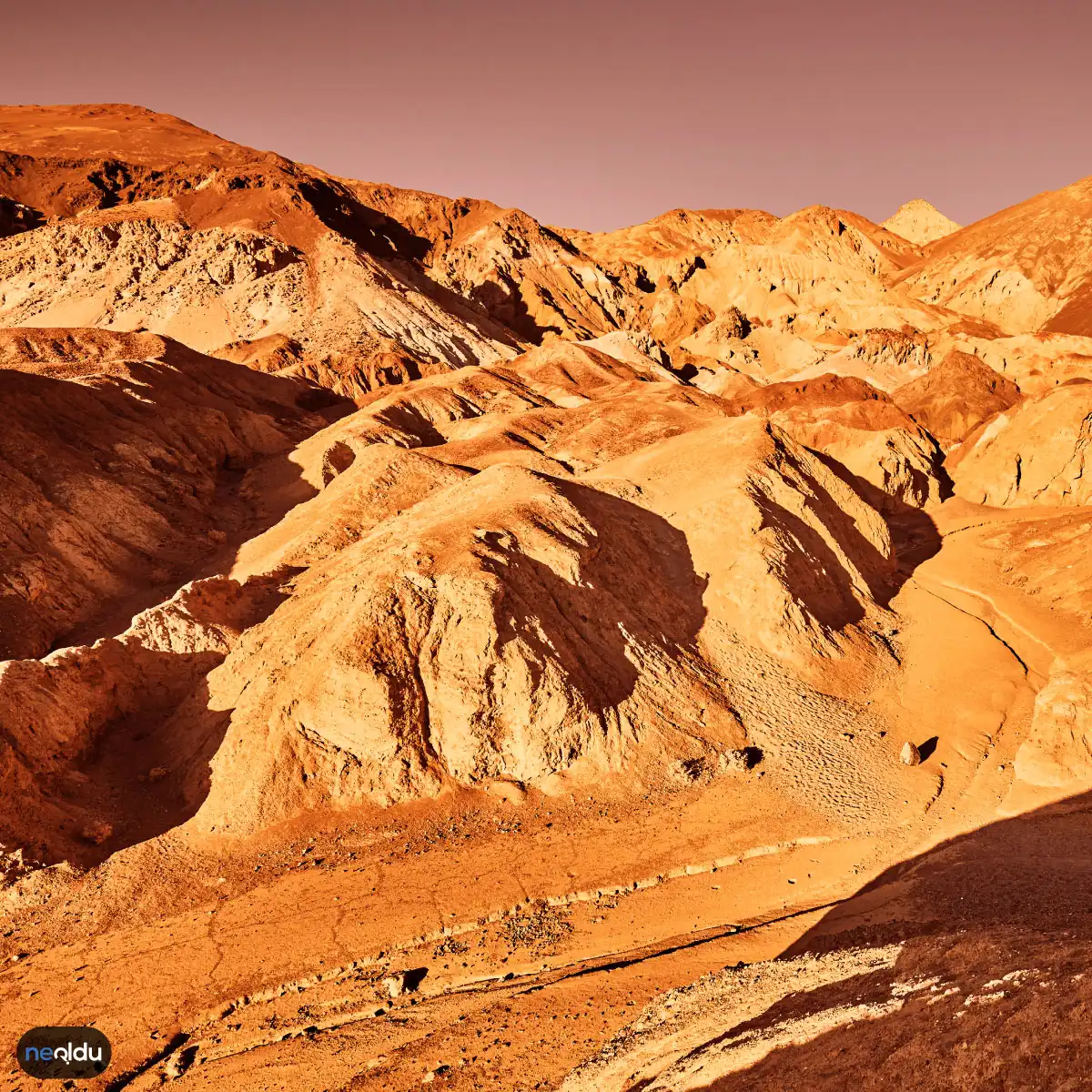 Mars ve Dünya Arasındaki Benzerlik