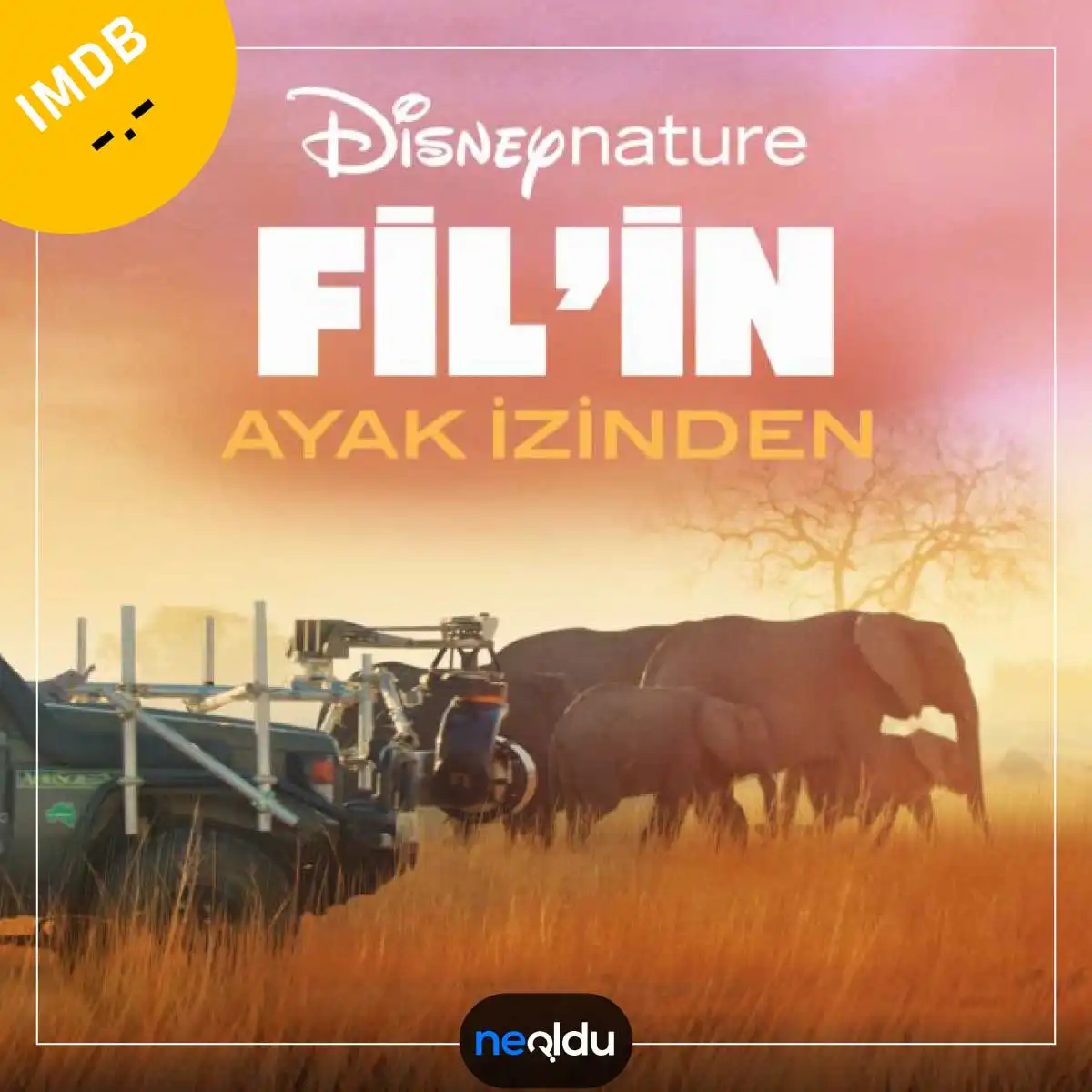 Disney+ Belgesel Filmleri