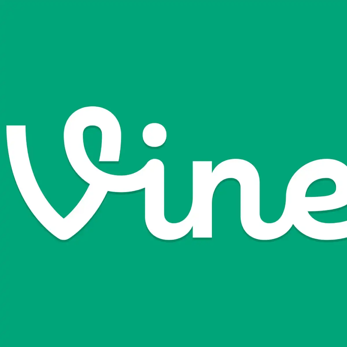 Vine Hakkında Bilgiler