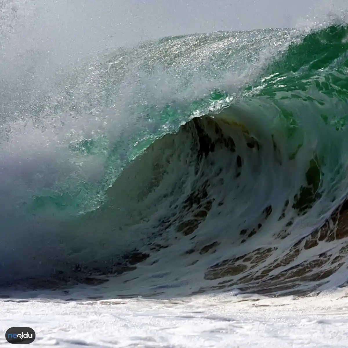 Tsunami Hakkında Bilgiler