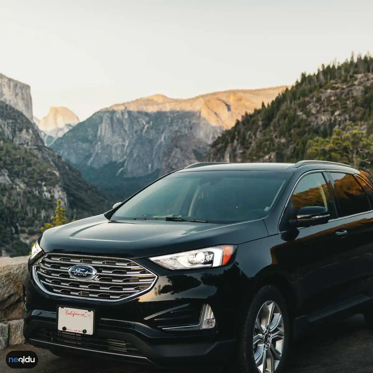 Ford Hakkında Bilgiler