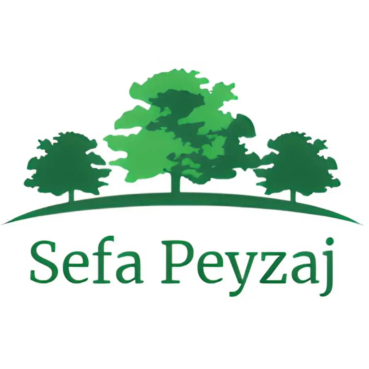 Bahçe Düzenleme Sefa Peyzaj