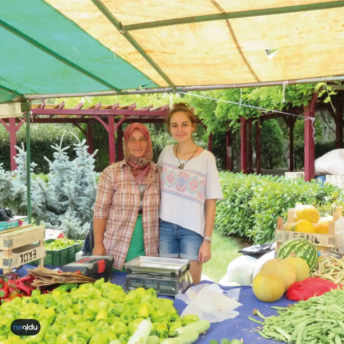 İstanbul'un En İyi Organik Pazarları