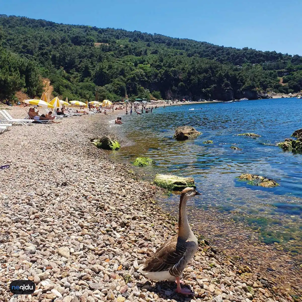 Burgazada'da Gezilecek Yerler