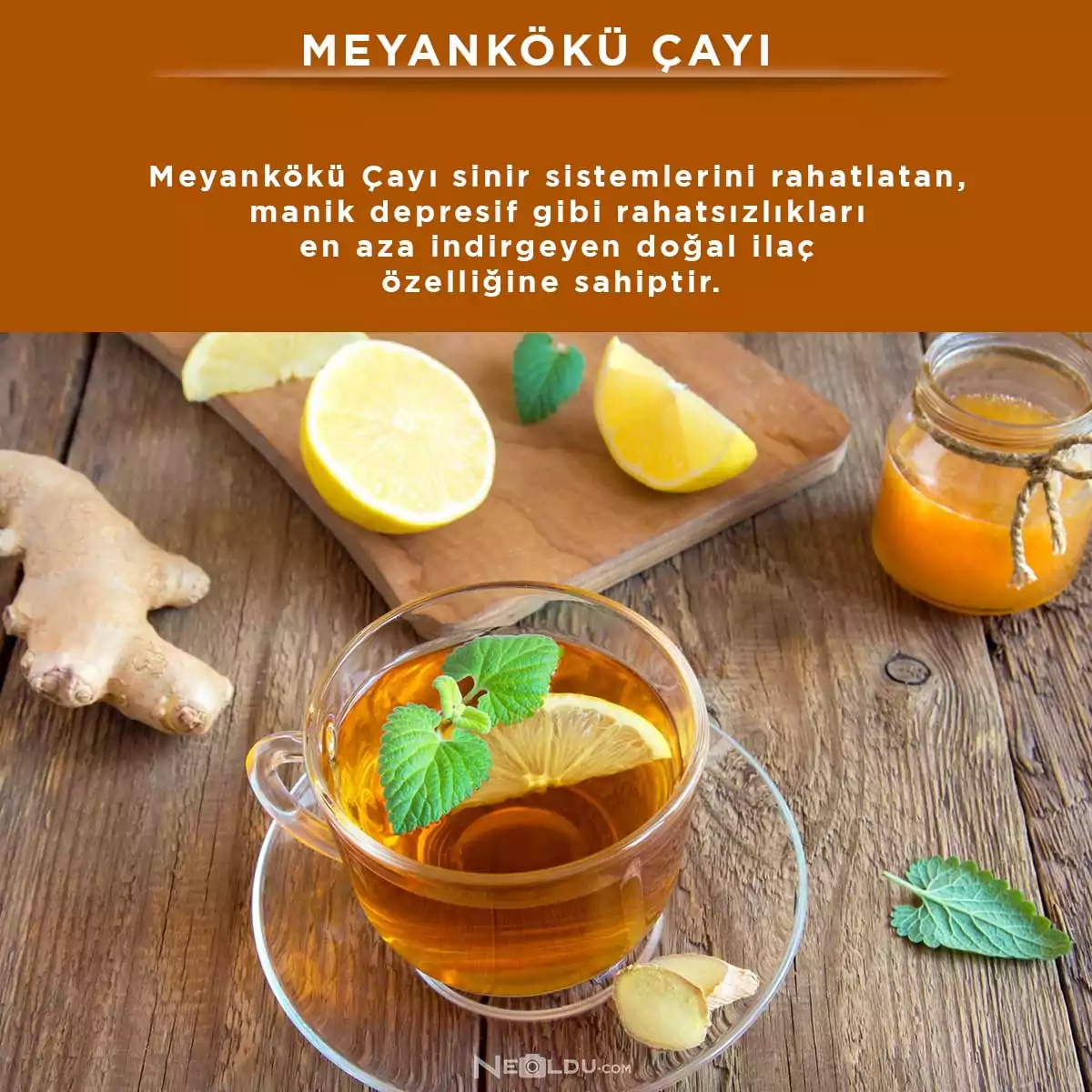 Meyankökü Çayı