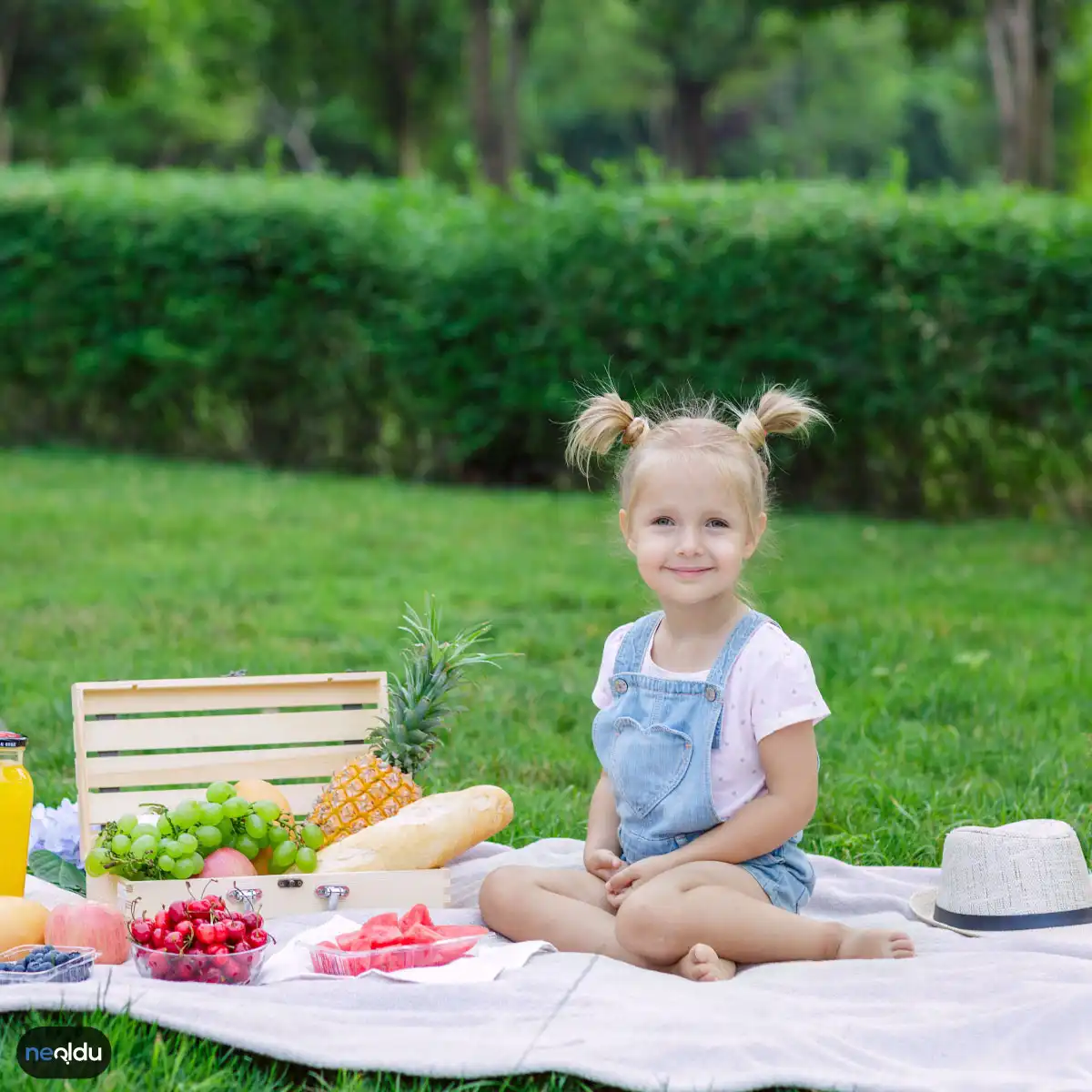 Pikniğe Giderken Yapılması Gereken Hazırlıklar