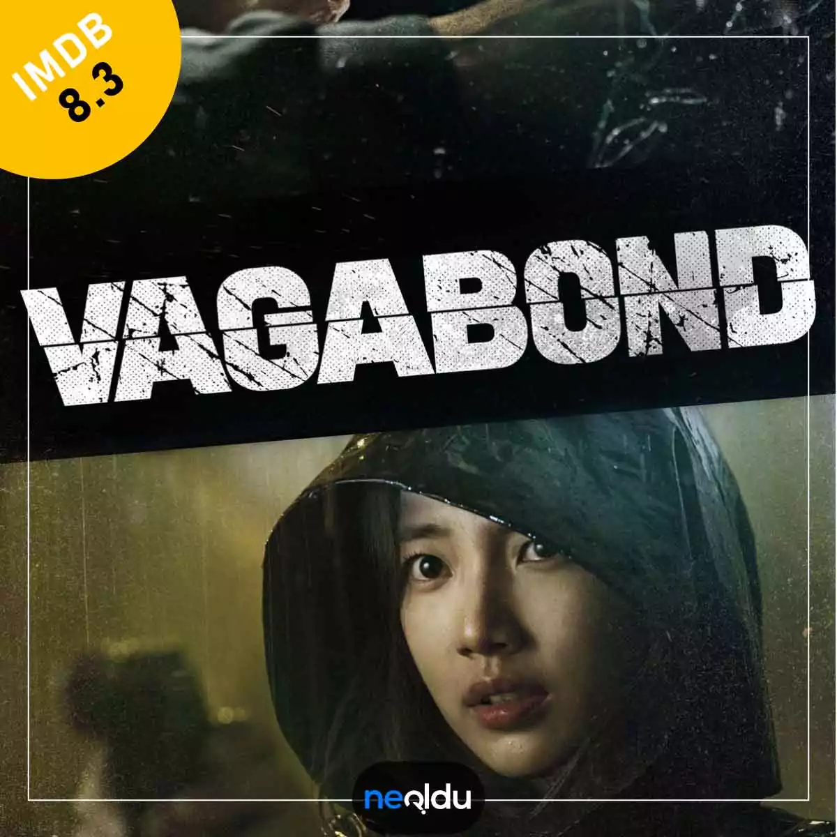 Vagabond Dizisi