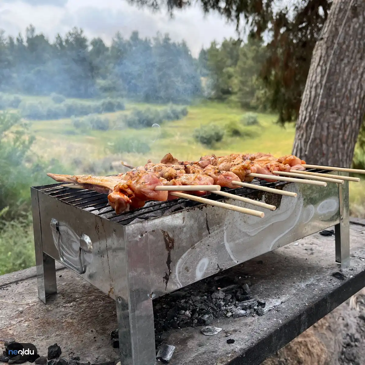 Lezzetli Mangal Yapmanın Püf Noktası