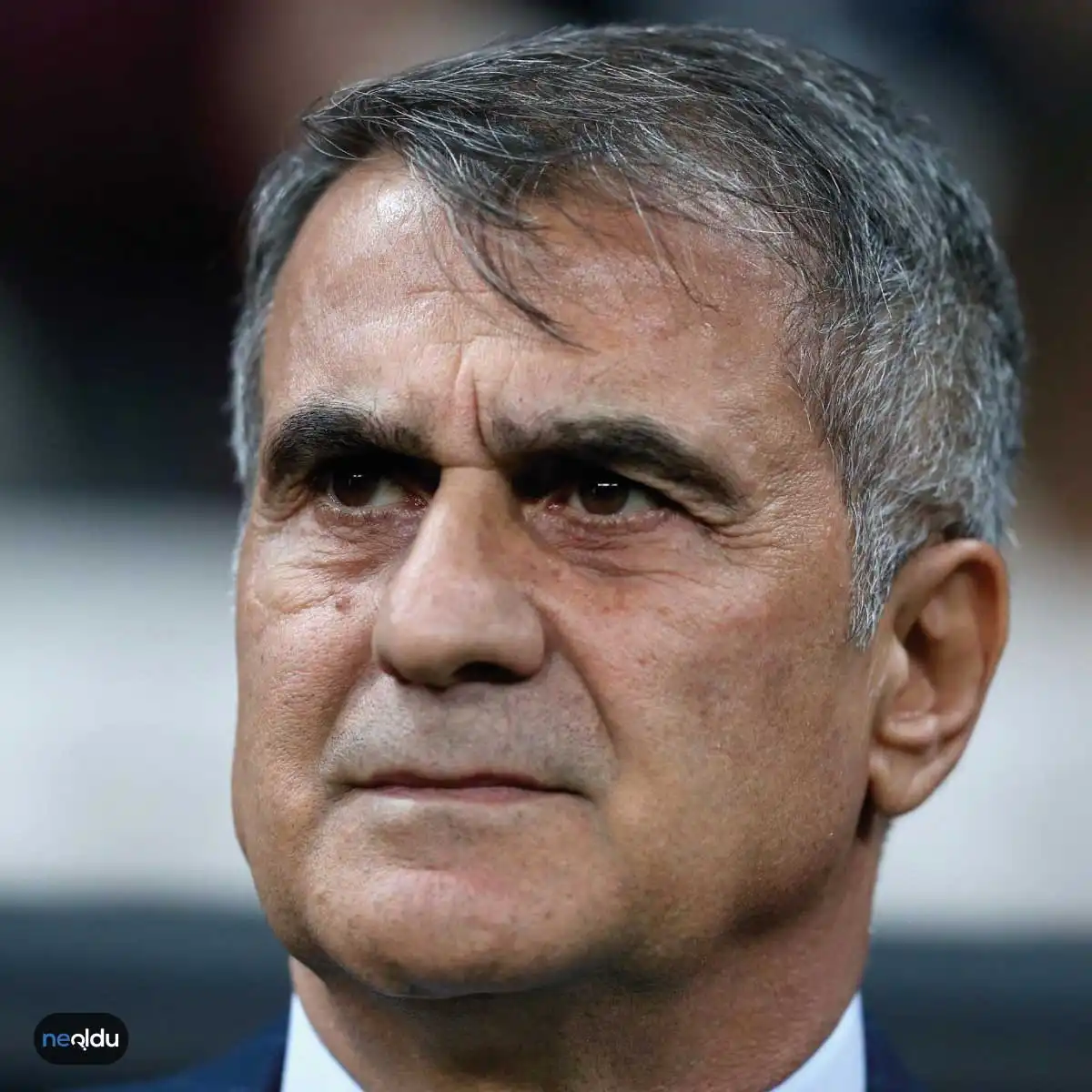 Şenol Güneş Kimdir?