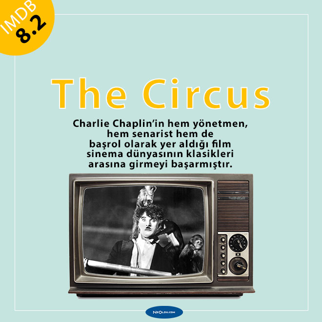 The Circus Charlie Chaplin Sirk Konusu