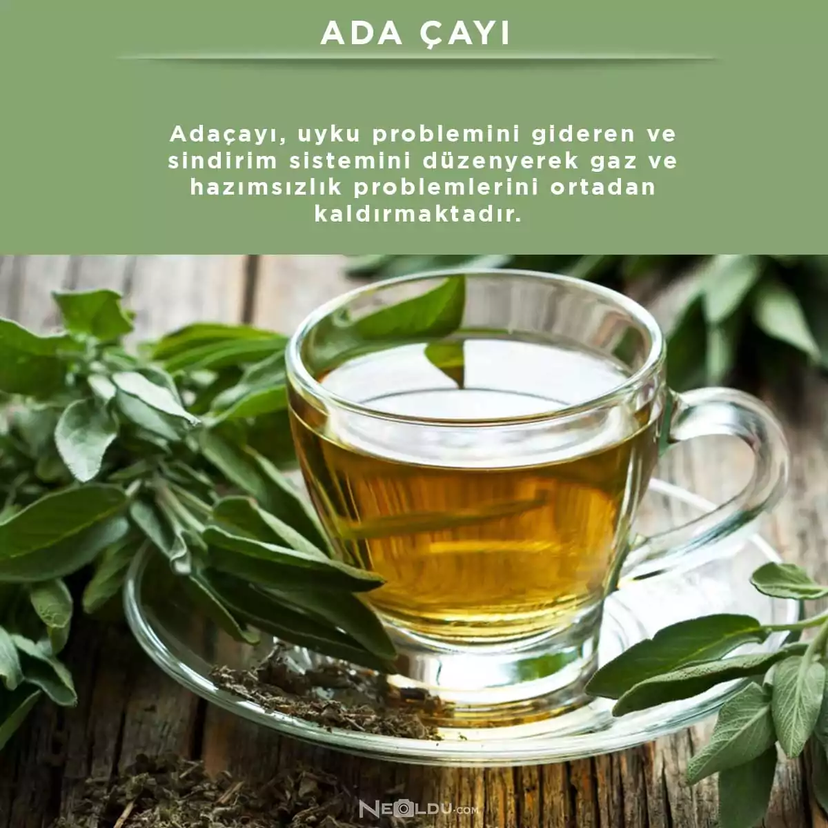 Ada Çayı