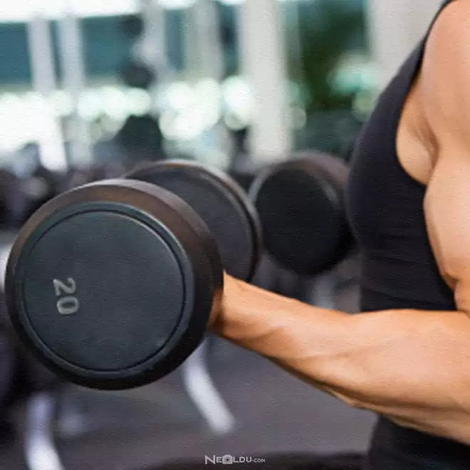 Dumbbell Curl Egzersizi