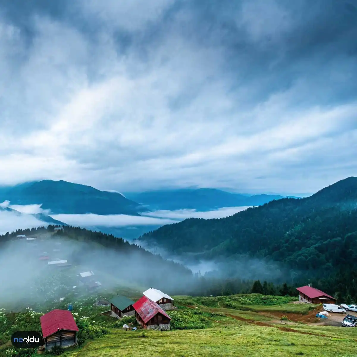 Rize Hakkında Bilinmesi Gerekenler