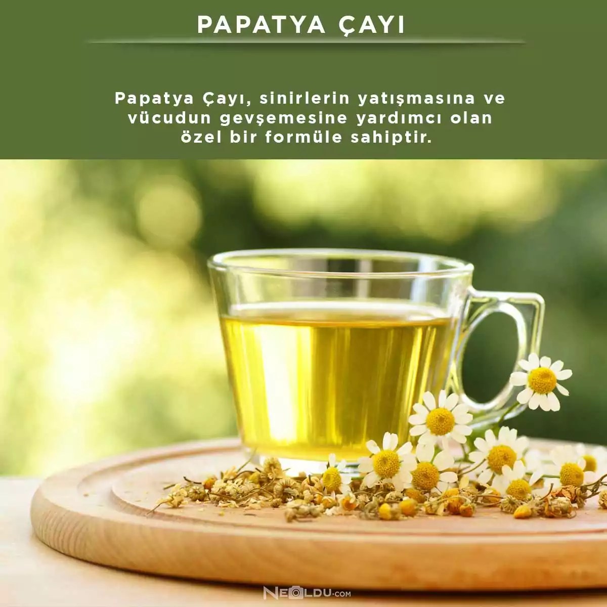 Papatya Çayı