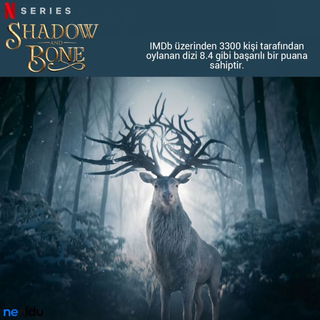 Shadow and Bone IMDb puanı