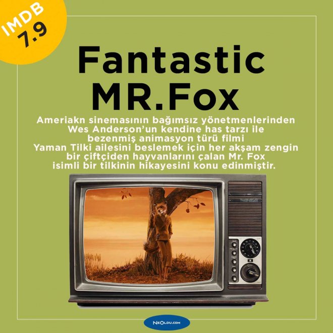 Fantastic Mr Fox Tilki Ailesi