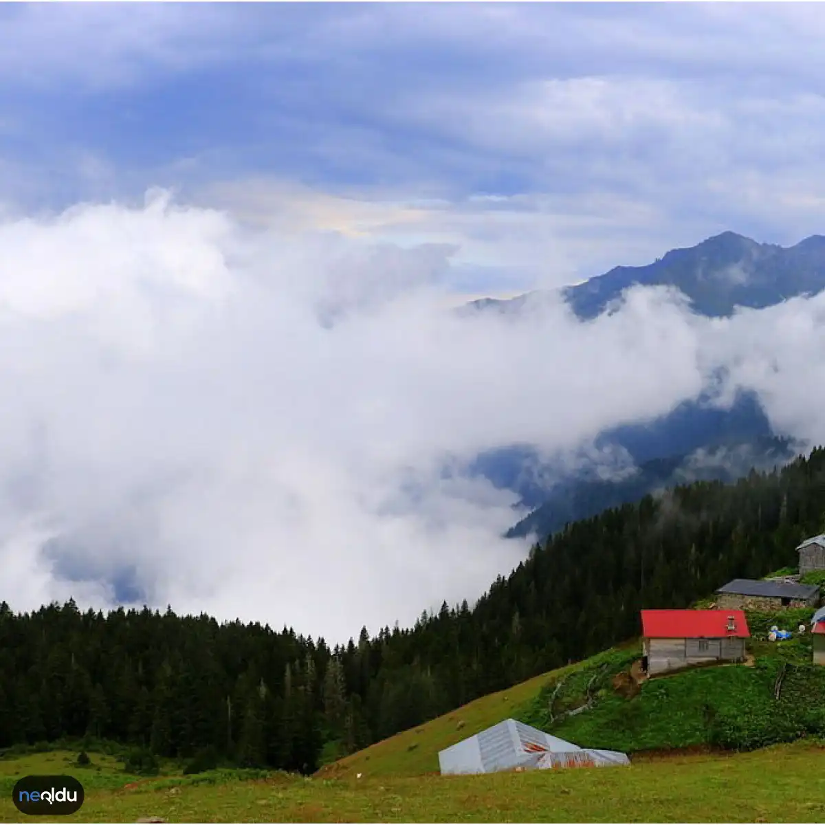 Rize'de Gezilecek Yerler