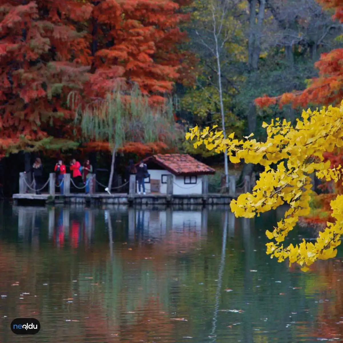 İstanbul'u En Güzel Parkları