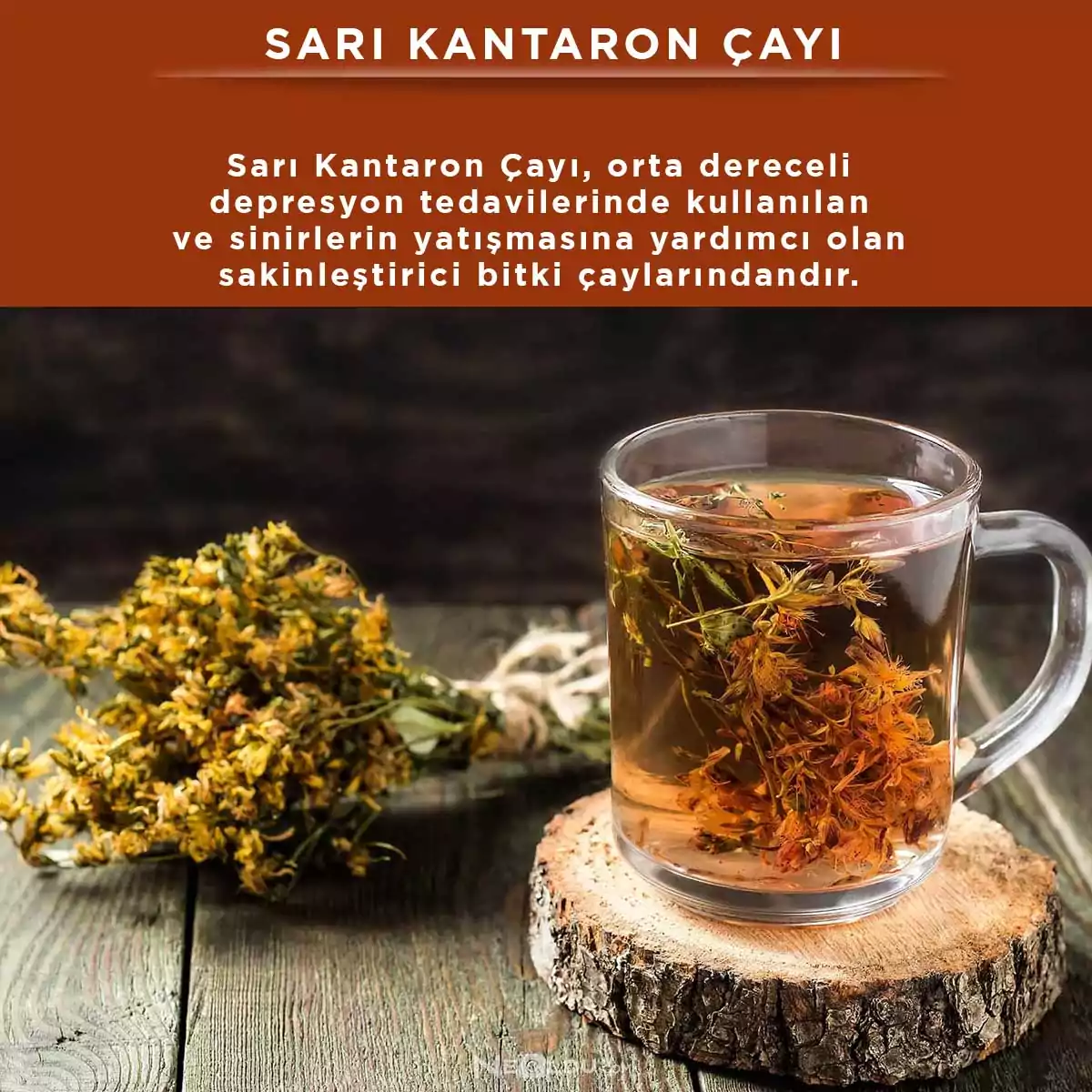 Sarı Kantaron Çayı