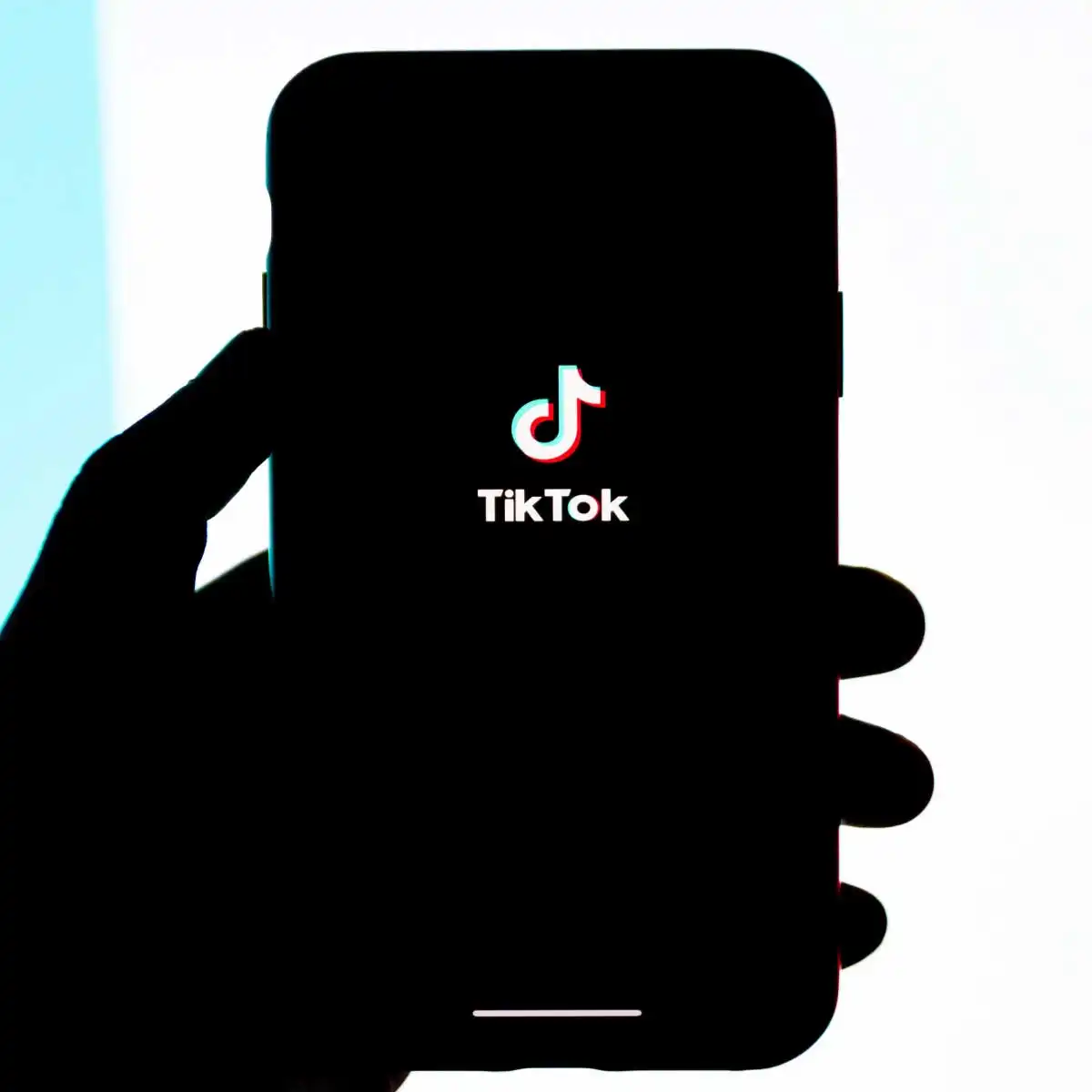 En Çok Takipçisi Olan TikTok Hesapları