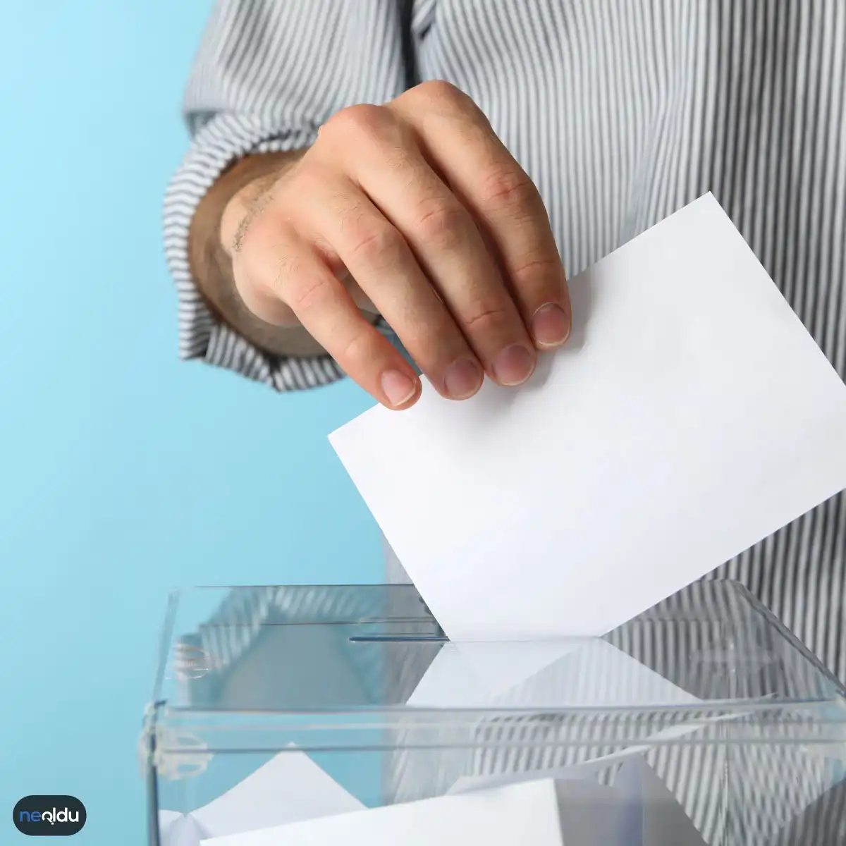Seçim Hükümeti Nedir?