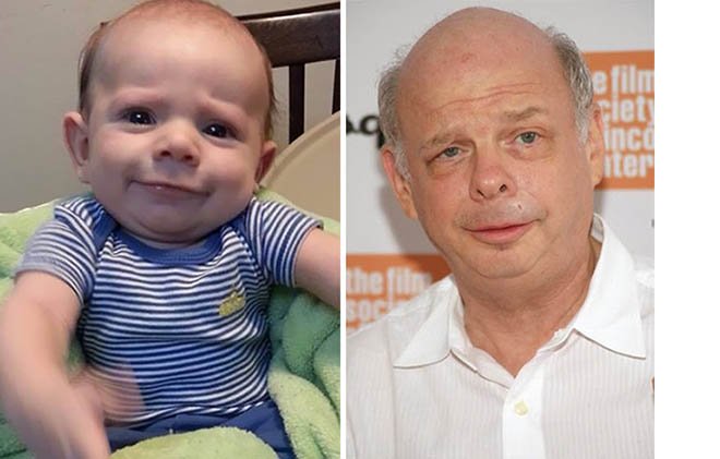 wallace shawn