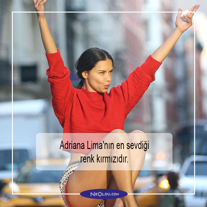 Adriana Lima Hakkında Bilgi