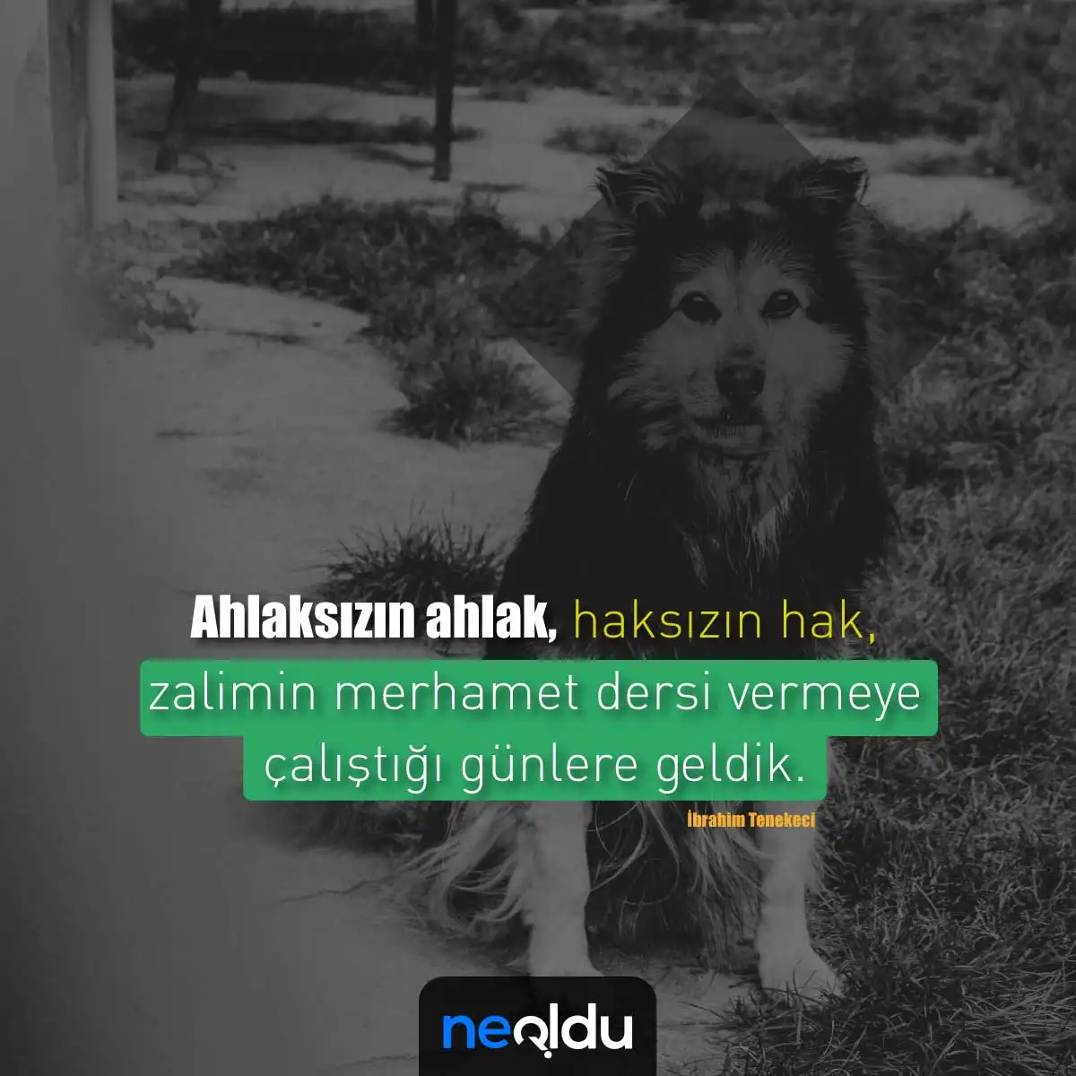 Ahlak yoksunlarına laf sokucu sözler