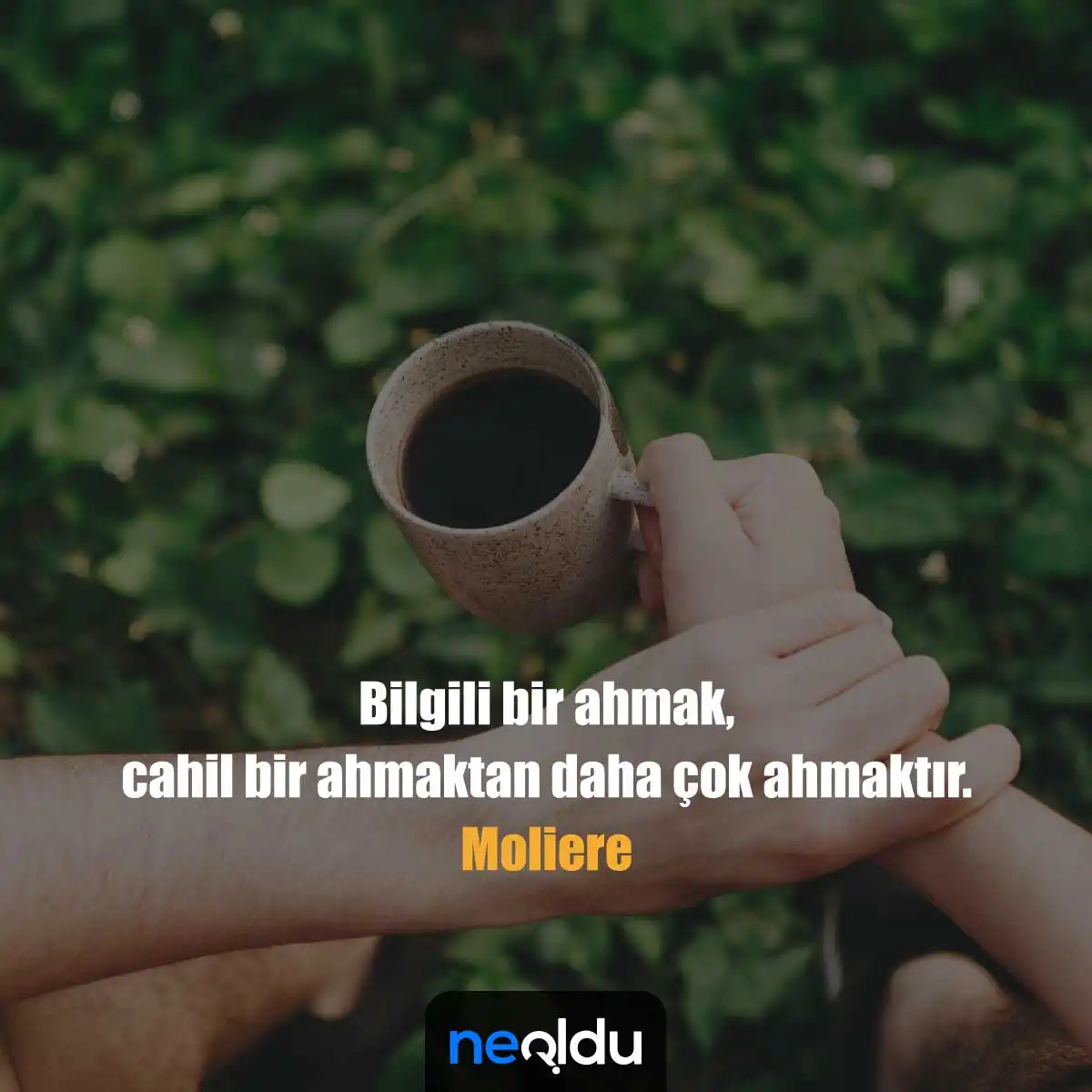 Ahmaklık ve övgü ilişkisini gösteren resim