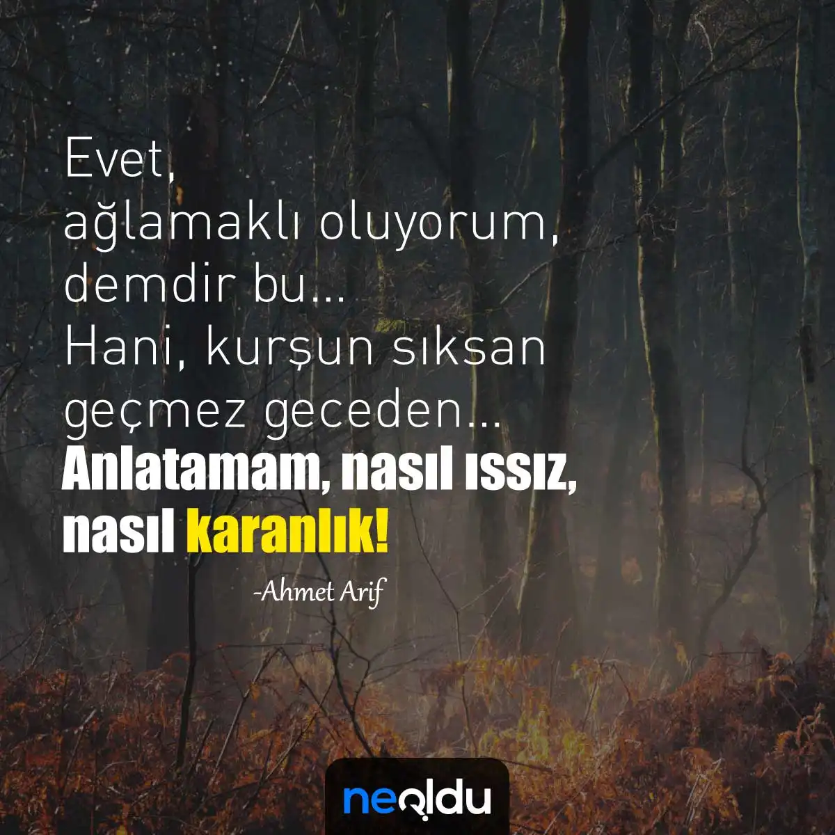 Unutulmaz Ahmet Arif Alıntıları