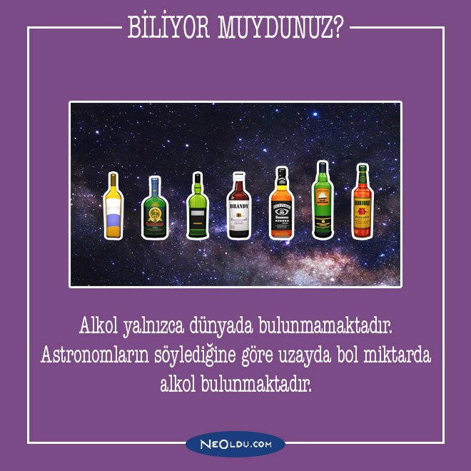 alkol hakkında bilgi