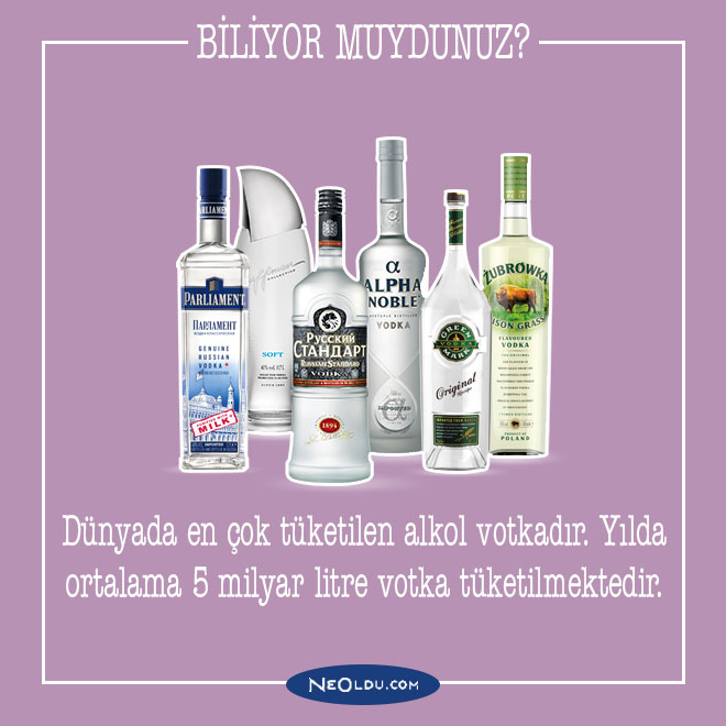 alkol hakkında bilgi