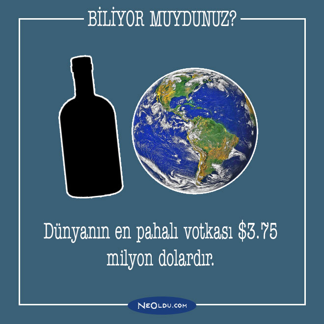 alkol-hakkinda-bilgi-013.jpg