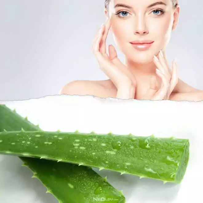 Aloe vera ile cilt bakımı