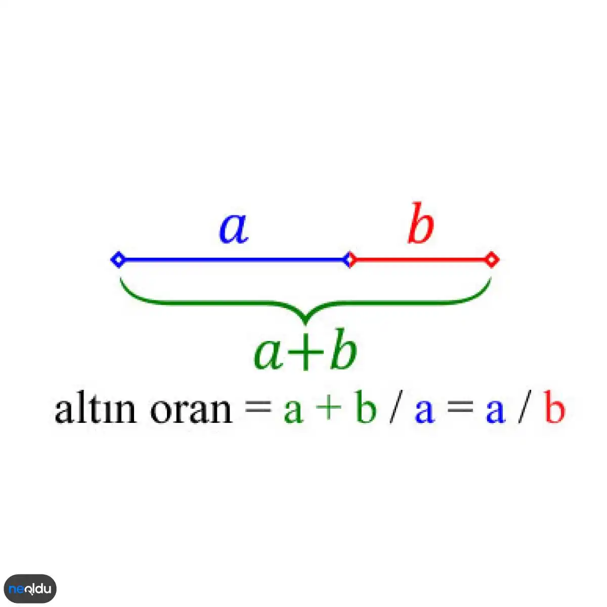 altın oran nedir nasıl hesaplanır