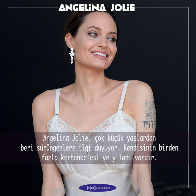 Angelina Jolie Hakkında İlginç Bilgi