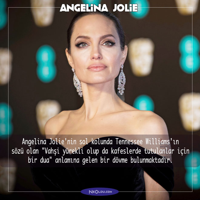 Angelina Jolie Hakkında İlginç Bilgi