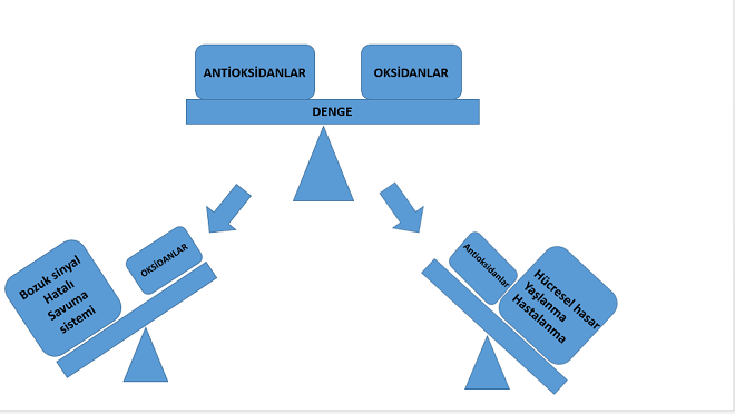 Antioksidanlar