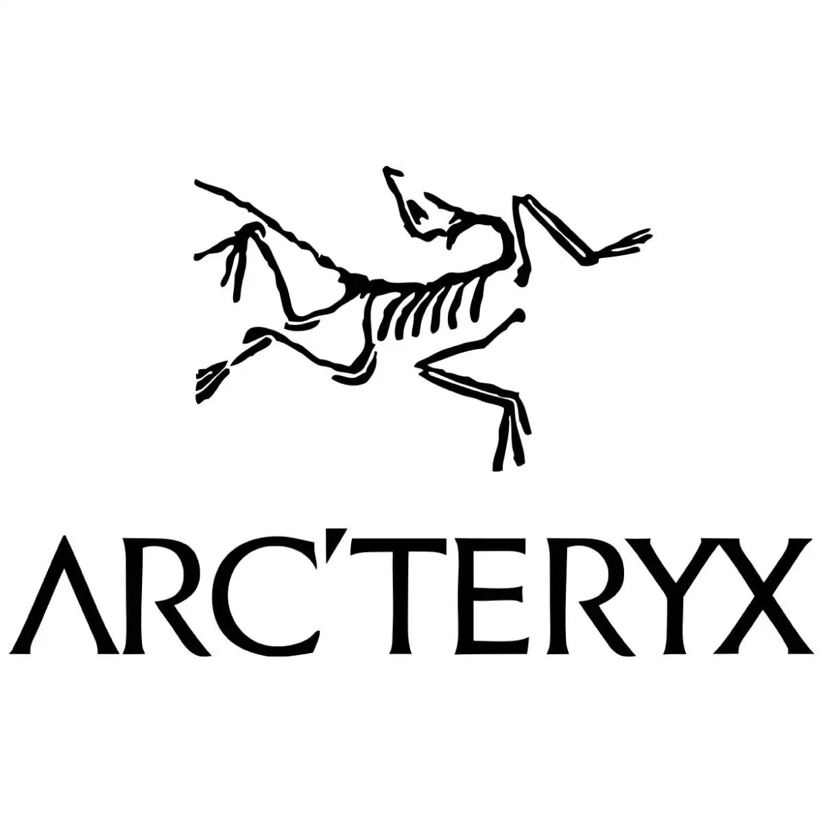 En İyi Mont Markaları Arc'teryx