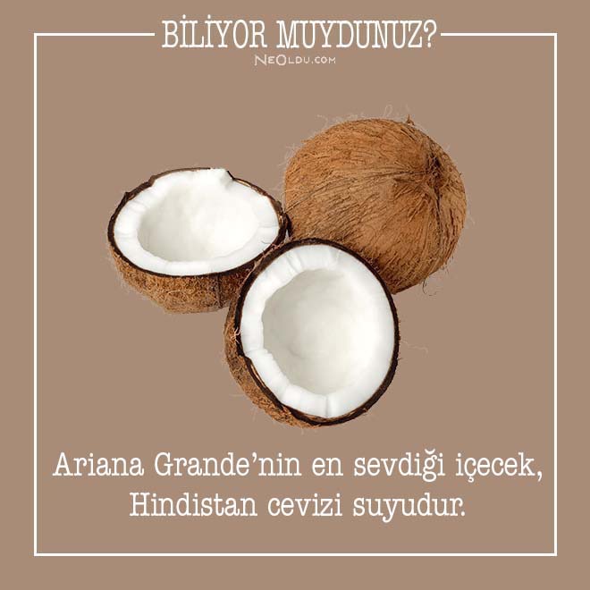 ariana grande hakkında bilgi