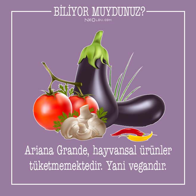 ariana grande hakkında bilgi