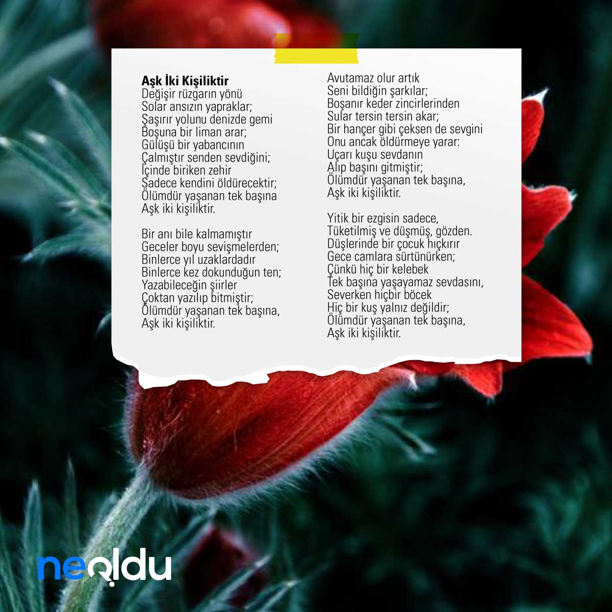 Ataol Behramoğlu Şiirleri